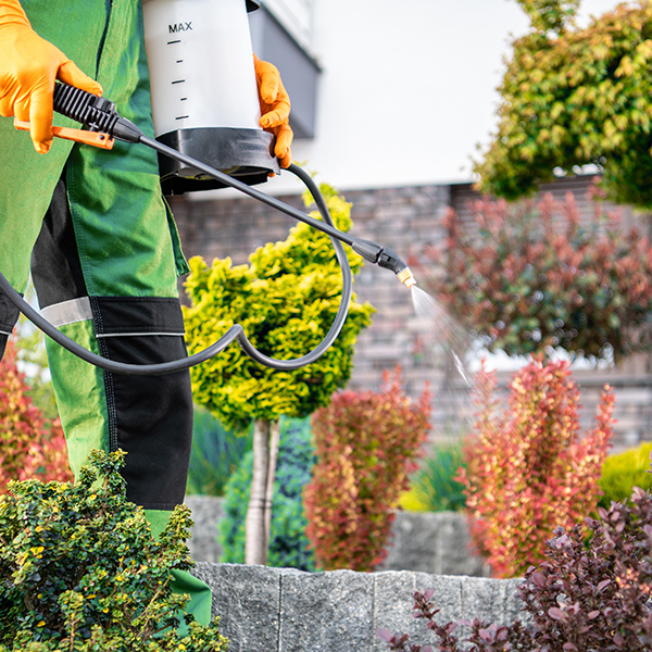Gardener spraying garden pest control